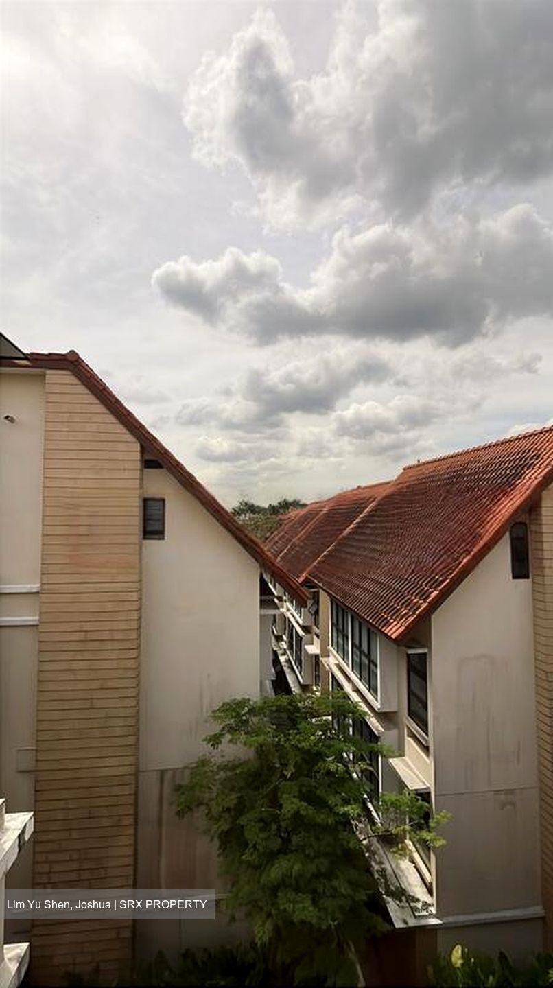 Holland Link (D10), Terrace #472830271